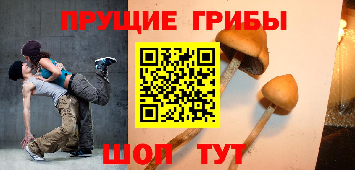 Псилоцибиновые грибы GOLDEN TEACHER Джанкой