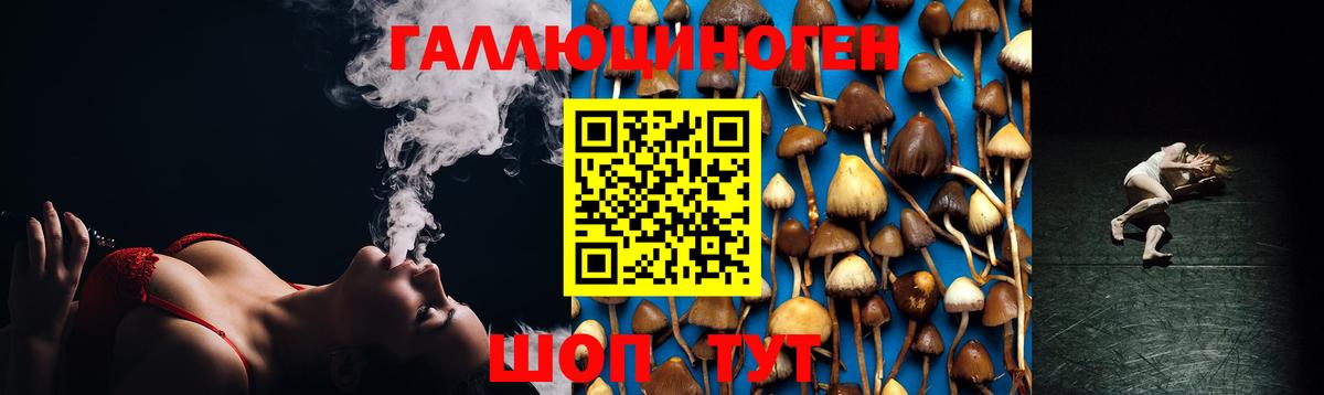Галлюциногенные грибы мухоморы  закладка  Вход с VPN  Джанкой  Псилоцибиновые грибы Psilocybine cubensis 